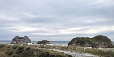 Nelson 2014 in 
