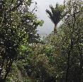 Nelson 2014 in 