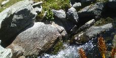Queenstown - March 2013 in 
